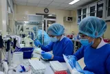 TPHCM lấy mẫu tầm soát virus Nipah trên bệnh nhân viêm não