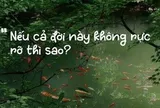 Vì sao câu nói 'Nếu cả đời này không rực rỡ thì sao?' gây sốt mạng?