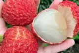5 điều cấm kỵ khi ăn quả vải nhiều người Việt đang vô tình mắc phải: "Ngọt miệng" nhưng dễ hại thân