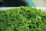 Loại lá chống rụng tóc, kích thích mọc tóc cực hay, dùng hằng ngày phòng cả ung thư: Bán đầy chợ Việt