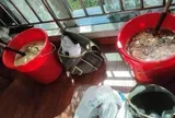 Đột kích 1 khách sạn, công an bắt giữ 2 người, tịch thu hơn 100 kg mật ong giả