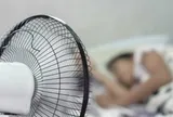 Không cần chỉnh số to nhất, bật quạt thế này vào ban đêm mát hơn bình thường: EVN hướng dẫn