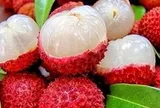 Lời khuyên khi mua vải
