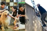 Nghề “theo dõi, giải cứu thú cưng” 22 ngày nhận lương 130 triệu đang hot ở Trung Quốc: Khách hàng đôi khi chỉ mua hy vọng