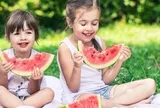 Mùa picnic đến rồi: Tránh ngay 6 sai lầm khiến thực phẩm nhanh biến thành "ổ vi khuẩn" dưới trời nắng nóng