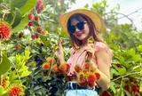 Đồng Nai tăng tốc kích cầu du lịch hè, hướng tới đón hơn 5,8 triệu lượt khách