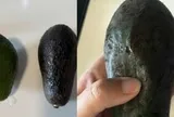 Loại quả "khó chiều" nhất trên đời, hàng triệu người đau đầu sau khi mua