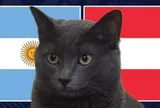 Mèo "tiên tri" dự đoán thế nào về trận Argentina vs Áo?