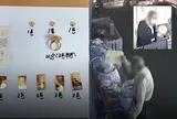Bảo vệ 1 tòa chung cư nhặt nồi cơm điện bỏ đi, bất ngờ phát hiện nhiều vàng thỏi và nhẫn bên trong