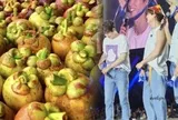Nữ hoàng trái cây Việt giá 3 triệu/kg khiến khách Hàn lùng sục, làm ông hoàng Kpop mê điên đảo theo