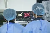 Người đàn ông Hà Nội 42 tuổi hay hụt hơi khi leo cầu thang, đi khám phát hiện bệnh người già: Bác sĩ cảnh báo!