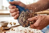 Mẹo bóc vỏ đậu phộng nhanh