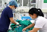 Bác sĩ cảnh báo sai lầm khiến bệnh nhân sốt xuất huyết dễ nguy kịch