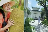 Nhà vườn rộng 3.000m2 của người đẹp Tây Đô Việt Trinh