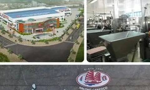 Bắt Tổng Giám đốc Công ty CP Đồ hộp Hạ Long vụ thịt nhiễm virus bệnh dịch tả heo châu Phi