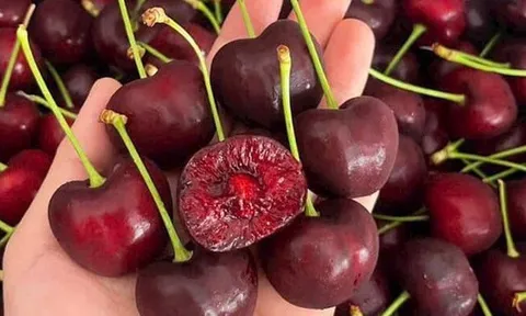 Cherry đang vào mùa giá rẻ: Thấy 3 loại này ngoài chợ, dù giá thấp cũng đừng mua kẻo “tiền mất tật mang”