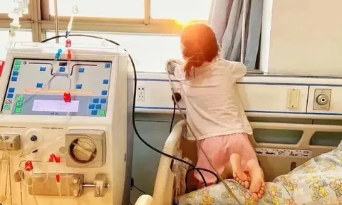 Học sinh lớp 3 qua đời sau 30 ngày phát hiện ung thư thận vì món tráng miệng mềm mềm, thơm ngọt "vạn người mê"