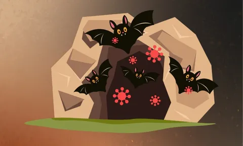 Virus Nipah - mối liên hệ giữa môi trường, động vật hoang dã và sức khỏe con người