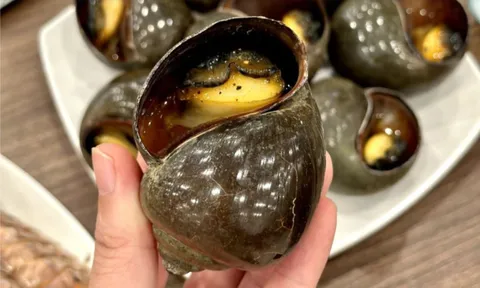 Ăn ốc bươu ngâm 'thủy tinh lỏng' độc hại thế nào?