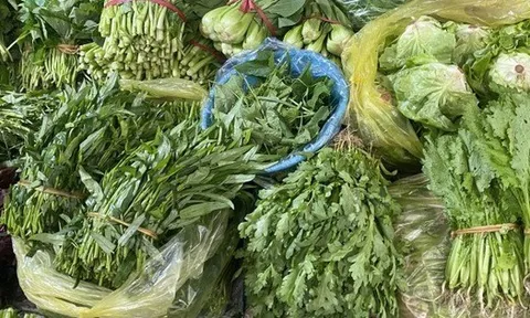 Loại rau tốt nhất thế giới, được chấm 100/100 điểm, chợ Việt bán từ 25.000 đồng/kg