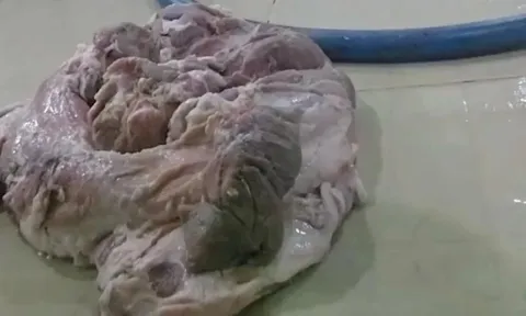 TPHCM kiểm tra 9 doanh nghiệp cung cấp nguyên liệu cho Sago Food