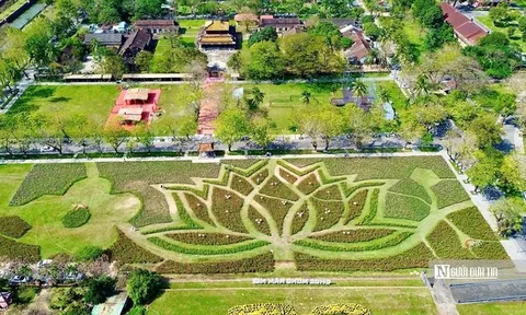 Những điều đặc biệt tạo nên biểu tượng đoá sen khổng lồ chào đón năm mới 2026 ở Huế