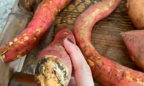 5 loại thực phẩm ngon bổ này sẽ hóa “thuốc độc” khi bị mốc, loại đầu tiên đang được bán với số lượng lớn: Nếu nhà bạn có, vứt bỏ ngay đi!