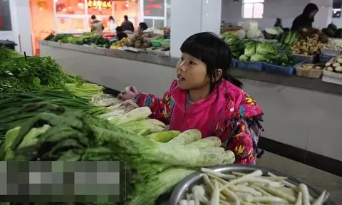 Chi nửa triệu mua rổ "sâu đất" về trộn gỏi: Tưởng màn review kinh dị, ai ngờ thành phẩm khiến 200 nghìn người phải "nuốt nước miếng"