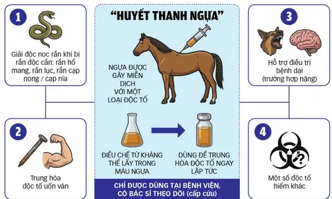 Năm Ngọ nói chuyện ngựa cứu người trong y học