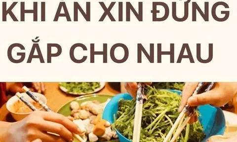 Khi ăn xin đừng gắp cho nhau!