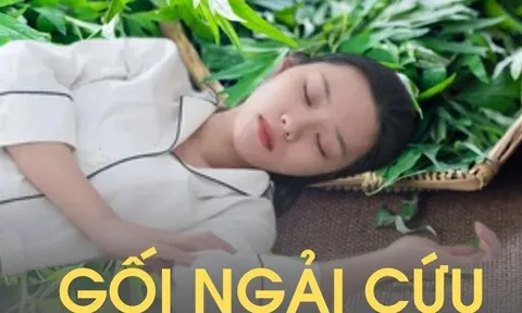 Tôi dùng ngải cứu làm bông nhồi gối trong 6 tháng, sau đó đi khám sức khỏe và bác sĩ đã rất "ghen tị" vì lý do này