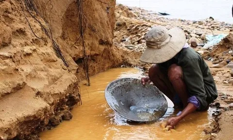 Phát hiện hàng loạt người bỏ công bỏ việc, đổ xô đi đào vàng mong đổi đời sau 1 đêm: Có người từng đào được 72kg