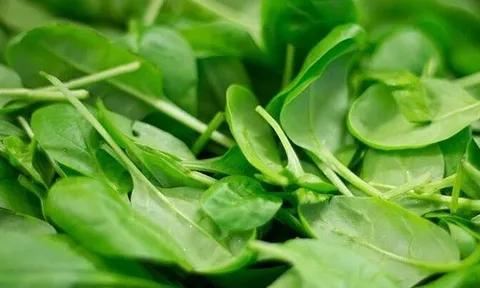 Đi chợ Tết mua rau, thận trọng với 3 loại này, người bán chưa chắc đã dám ăn