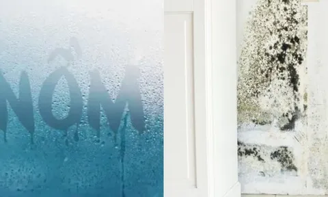 Kinh hoàng: Nấm mốc âm thầm "làm ổ" trong 7 thứ quen thuộc, mùa nồm đến là sinh sôi như vũ bão