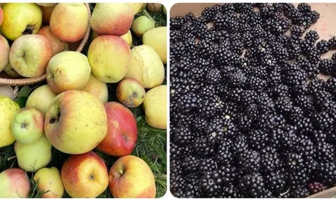 5 loại trái cây giúp 'thanh lọc' cơ thể hiệu quả nhất