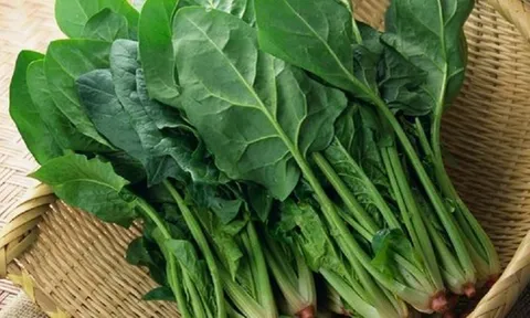 Tiểu thương chợ nói thật: 5 loại rau “đẹp long lanh” này tôi còn không dám ăn, nhiều người lại mua mỗi ngày