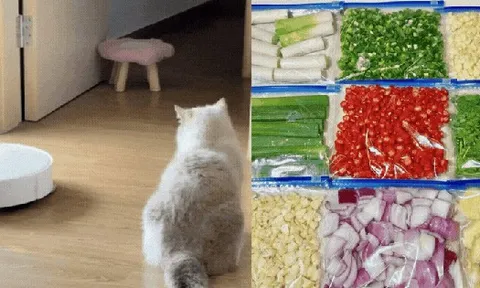 Tôi học cách dọn nhà của giới trẻ và nhận ra: Chỉ cần đổi tư duy, việc nhà giảm một nửa mà nhà vẫn gọn gàng mỗi ngày