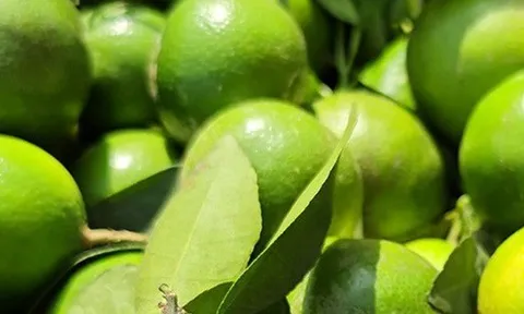 Nghe tên loại quả này thấy cả "bầu trời giàu sang": 4 mùa đều ra hoa kết trái, nhà nào trồng được thì lộc to