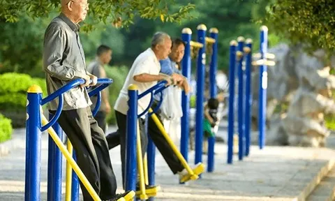 Ai sống lâu hơn: người ít vận động hay tập thể dục mỗi ngày? Một cuộc khảo sát 36.383 người cao tuổi đã đưa ra câu trả lời