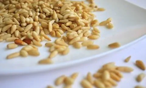 Loại hạt “tí hon” nhưng là “gã khổng lồ” dinh dưỡng, tốt cho tim mạch, chống lão hóa và bảo vệ mắt, ở Việt Nam rụng đầy gốc nhưng ít ai ăn