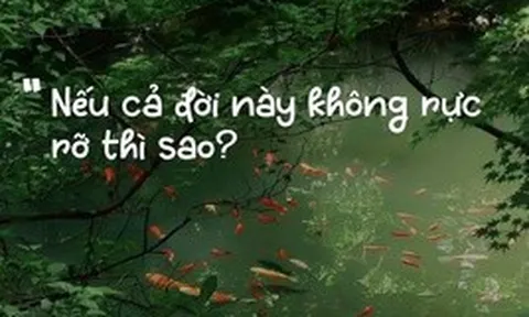 Vì sao câu nói 'Nếu cả đời này không rực rỡ thì sao?' gây sốt mạng?