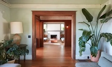 3 loại cây "hút" tài lộc và may mắn, rất nên trồng trong nhà