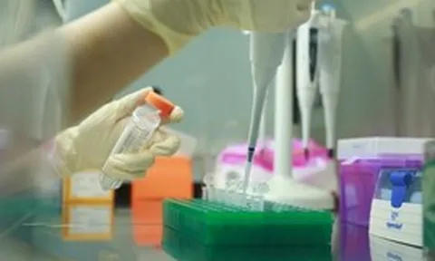 Lật mở thân phận sau hàng chục năm: Xét nghiệm ADN giúp Việt kiều tìm lại nguồn cội