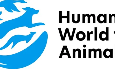 Indonesia khởi động chương trình tìm kiếm sinh kế thay thế cho những người buôn bán thịt chó nhằm chấm dứt nạn buôn bán này