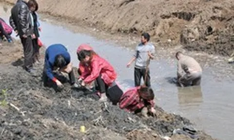 Công trường dừng thi công khẩn cấp vì máy xúc đào trúng vật cứng chứa hiện vật nặng hơn 100kg, con mương rộng 6m bị phong tỏa