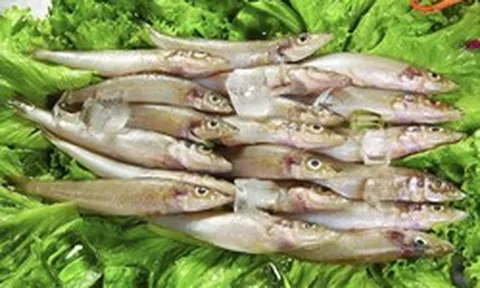 Nghiên cứu ĐH Harvard: 1 LOẠI cá siêu tốt, giúp giảm 31% nguy cơ ung thư đại trực tràng, Việt Nam rất sẵn và rẻ nhưng ít nhà ăn