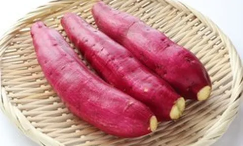 Thấy khoai lang kiểu này, bỏ ngay: 4 dấu hiệu cảnh báo nhiều người vẫn bỏ qua