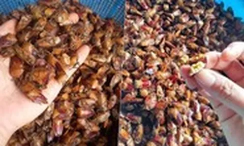 'Đặc sản' mua theo mạng xã hội: Từ tò mò dễ trở thành rủi ro sức khỏe