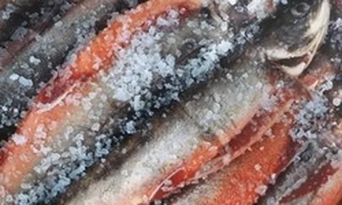 3 loại cá "bẩn nhất chợ", ít dinh dưỡng, tiềm ẩn độc tố nhưng nhiều người Việt lại cực mê