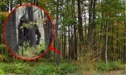 Loài thú lạ “đầu lừa, mình sói”, dài tới 2m bất ngờ tái xuất sau 500.000 năm: Sự thật quá bất ngờ!